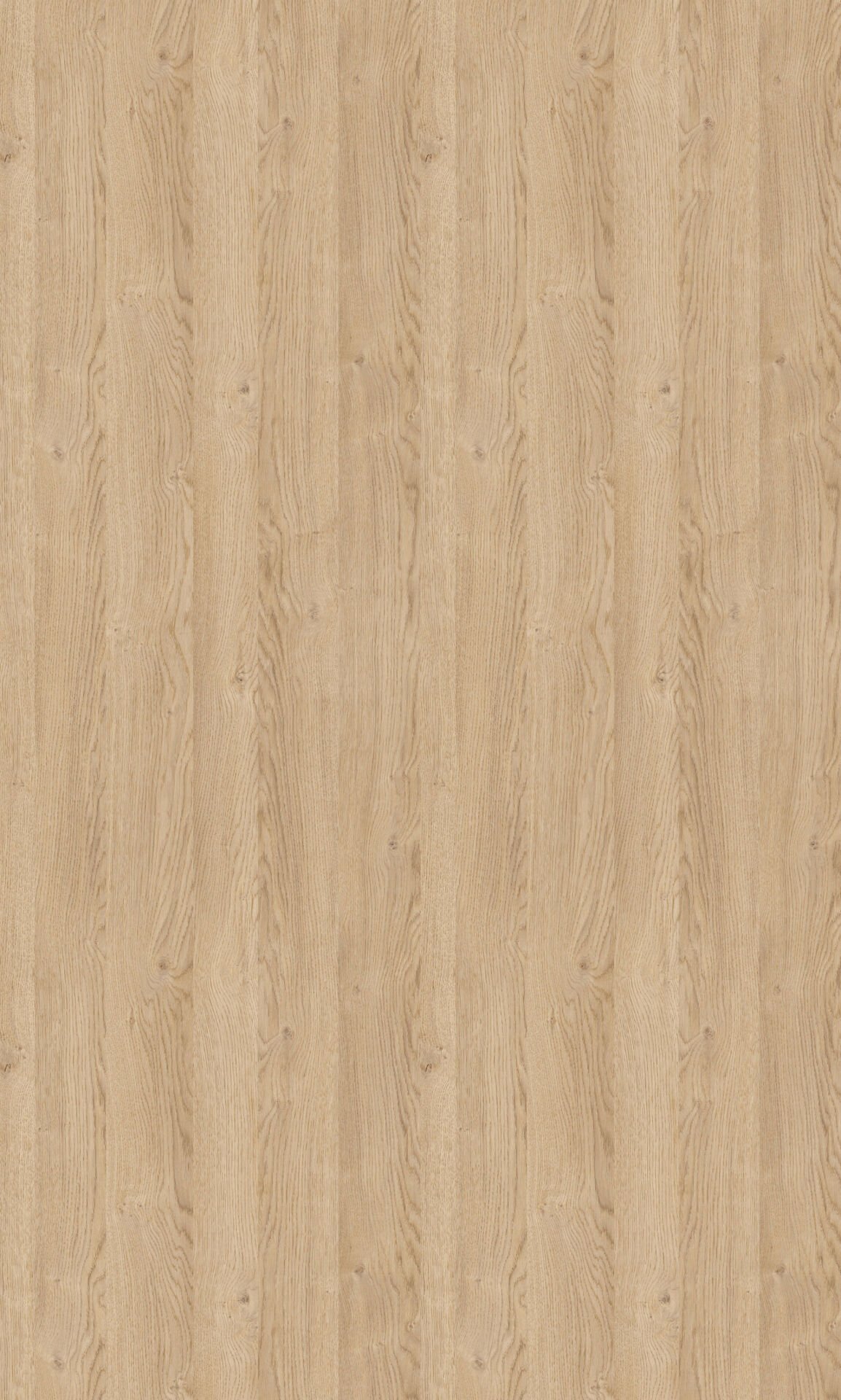 080x22 VT-15 Vega Pvc Kenar Bandı