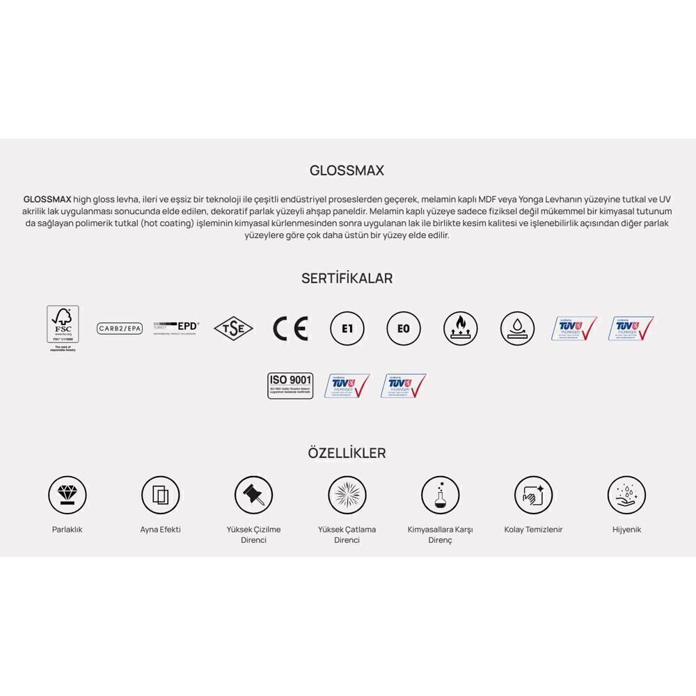 F297 Aris Gri Glossmax