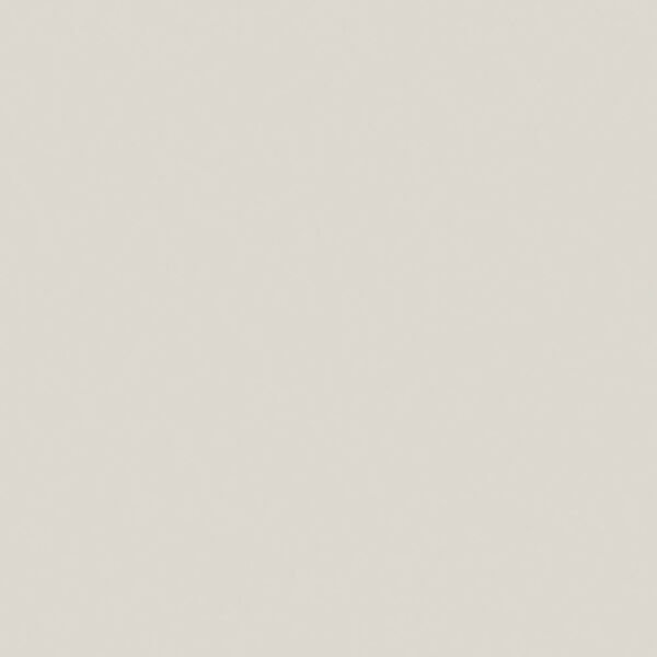 D217 Buz Gri Glossmax