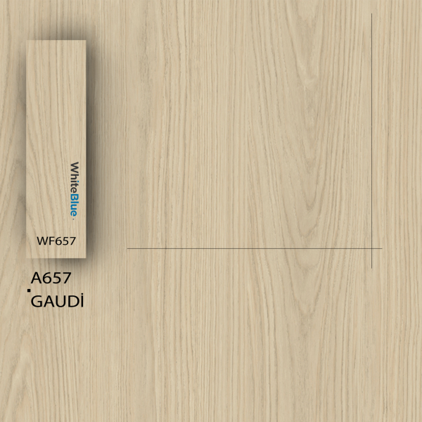 A657 Gaudi Pvc Kenar Bandı